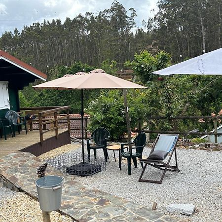 Mimosa Village - Turismo de Natureza Mortágua Exterior foto